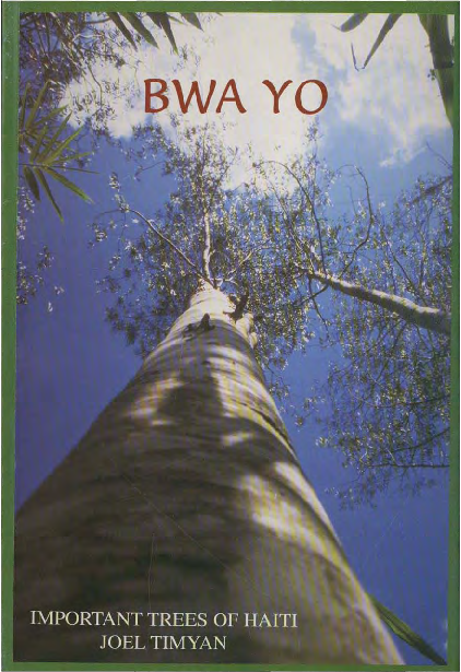 MI NI PLUG IN BLACK (New)